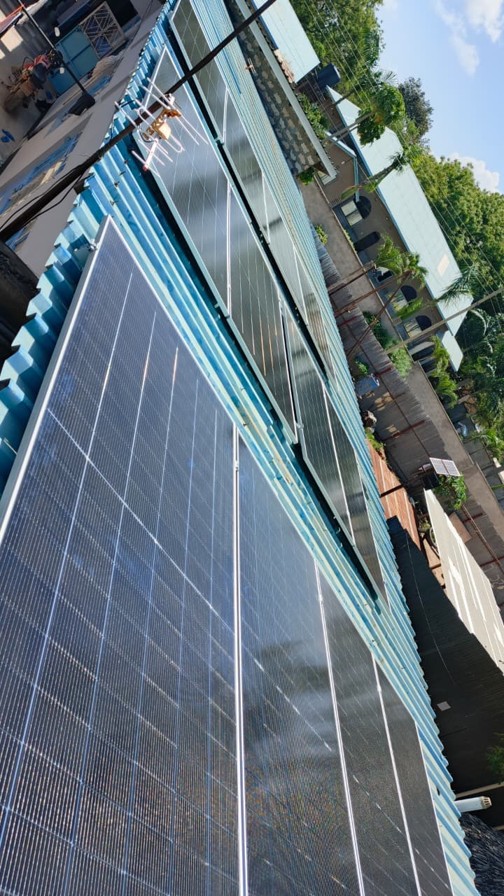 Whispers and Swallows Project - Image 4