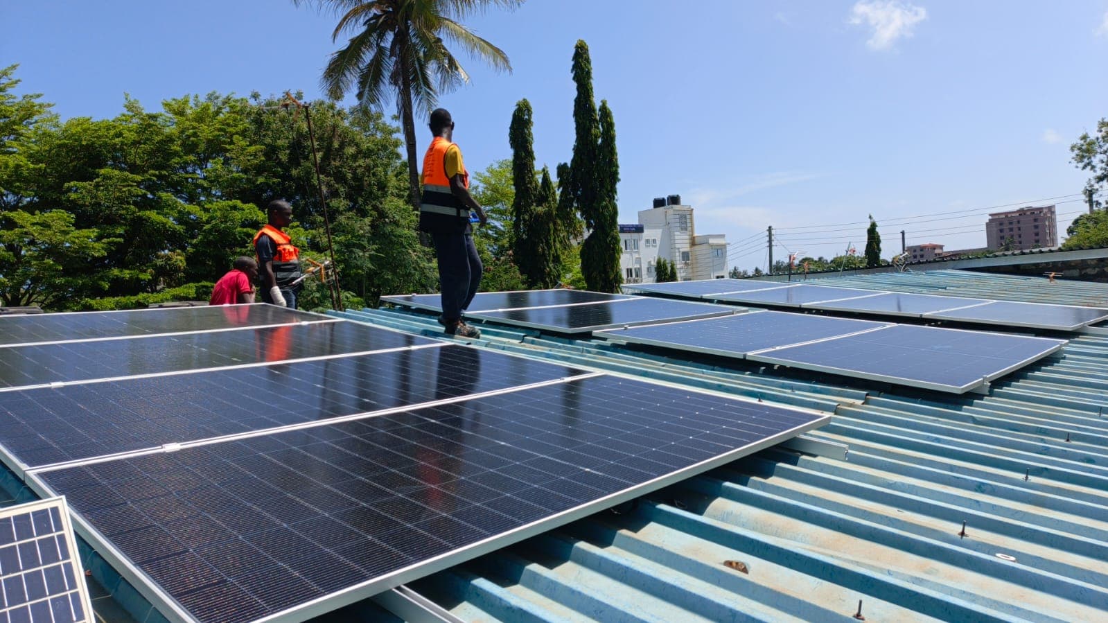 Whispers and Swallows Project - Image 5