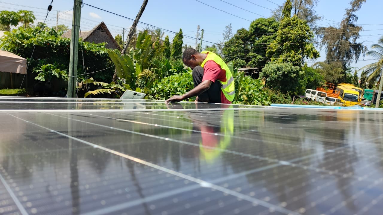 Whispers and Swallows Project - Image 6