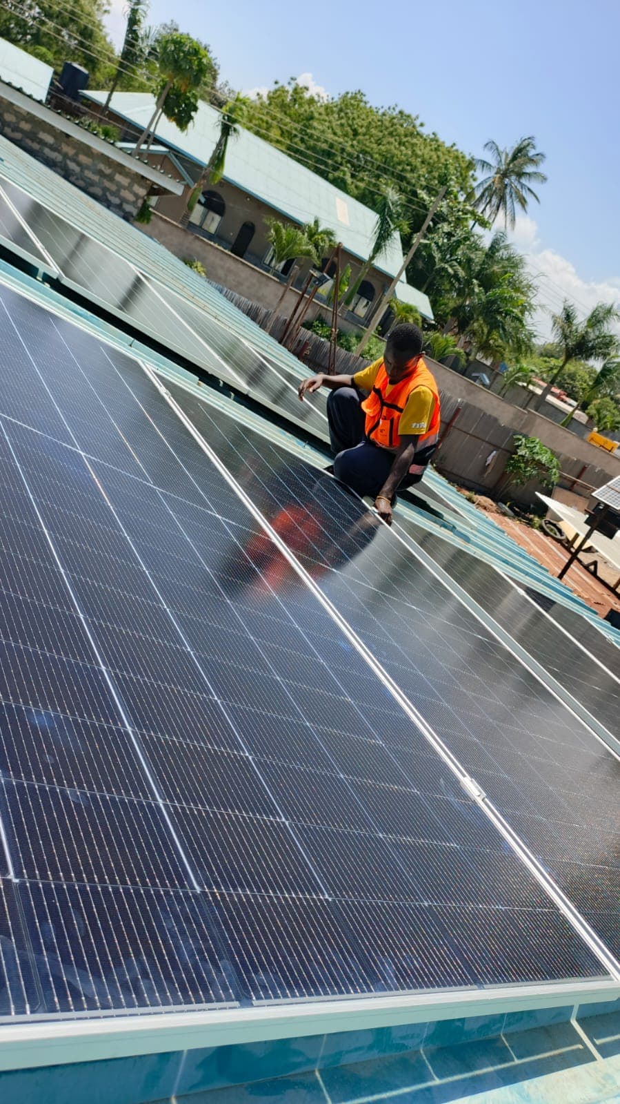 Whispers and Swallows Project - Image 8