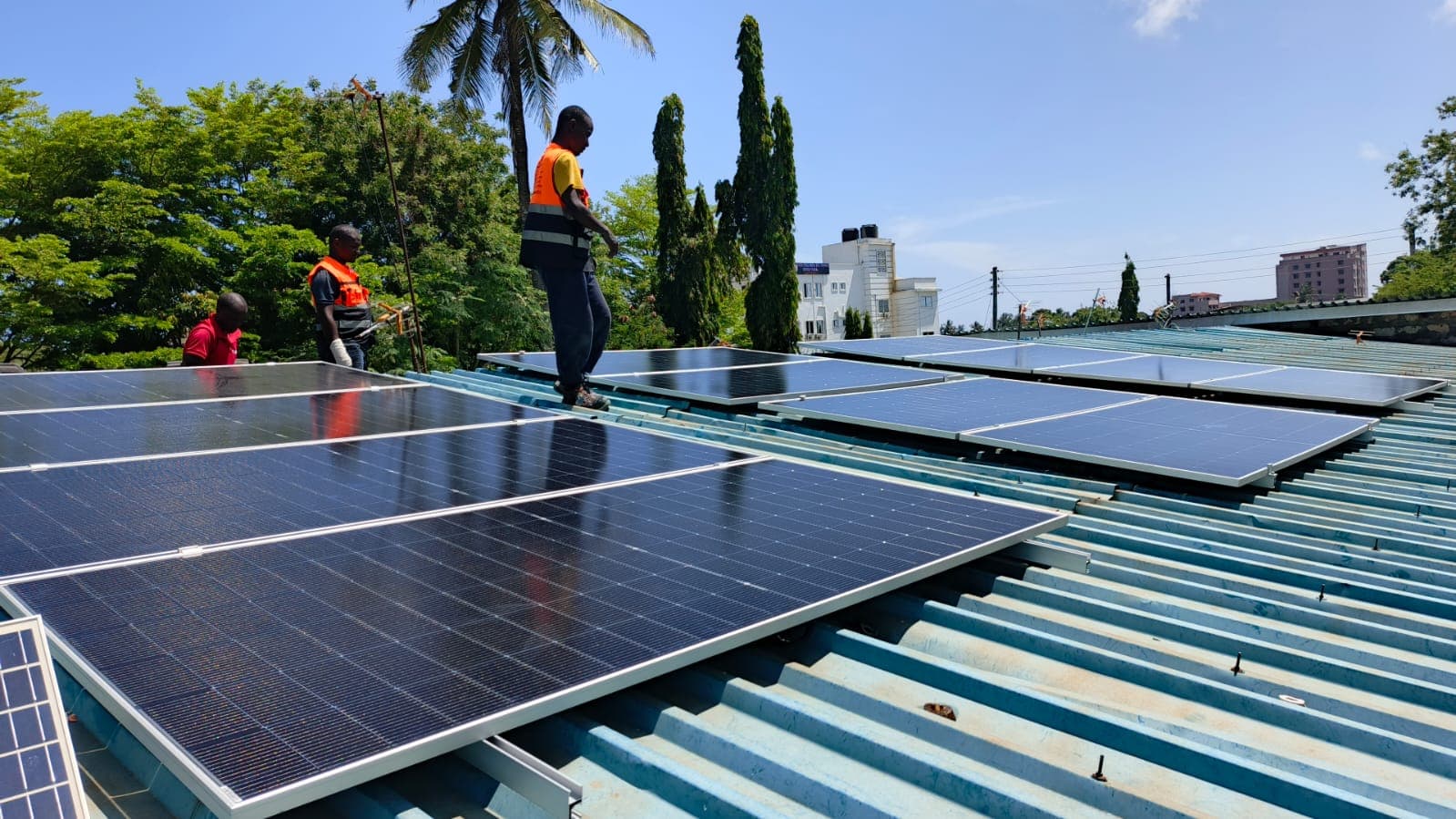 Whispers & Swallows – Commercial Hybrid Solar System